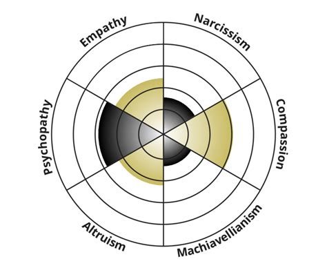 idrlabs light dark triad test|Light/Dark IDRLabs Test .